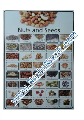 Nuts and seeds poster